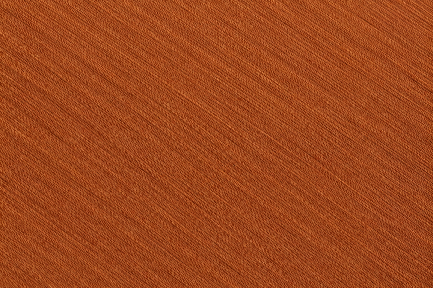 Spiced Copper Butterfly Ten Minutewefft